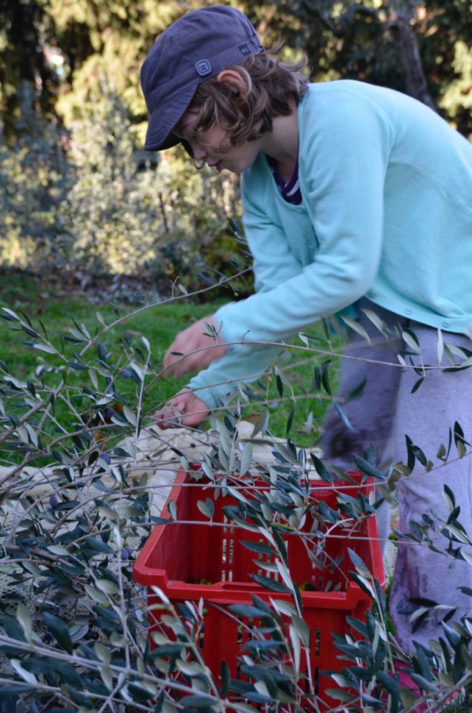 Picking by hand